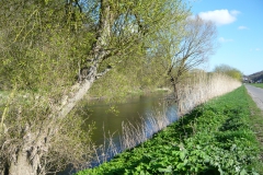 Impressionen am Leinpfad