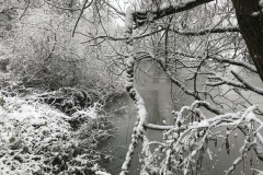 Winterstimmung am 1. Advent 2017