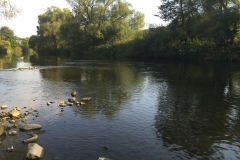 Steedener-Furt "Breite Pritsch (Braare Pritsch)"