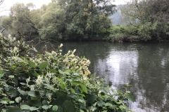 Herbststimmung an der Lahn