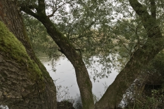 Herbststimmung an der Lahn