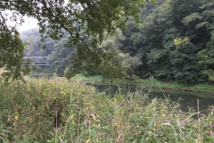 Herbststimmung an der Lahn