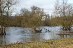 Hochwasser am Leinpfad in Steeden