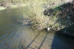 Muendung Kerkerbach in die Lahn