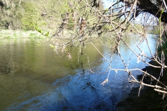 Lahn bei der Kerkerbachmuendung