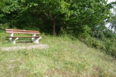 Eichschulter (Aascheller)
