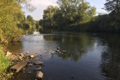 Steedener-Furt "Breite Pritsch (Braare Pritsch)"