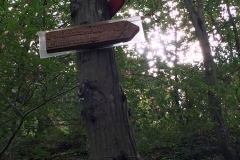 Der Weg zur Aascheller