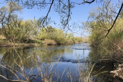 Frühere Furt Braare Pritsch