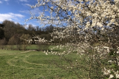 Das Kerkerbachtal Richtung Heumst