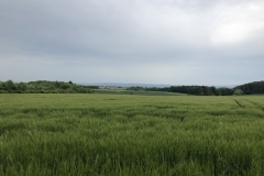 Blick vom Niedertiefenbacher Feld auf die Schotterhalden am Steinbruch Schneelsberg