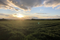 Blick über das Steedener Feld Richtung Dehrn