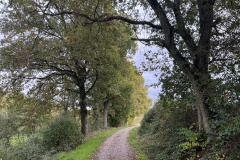 Radweg auf dem früheren Bahndamm der Kerkerbachbahn
