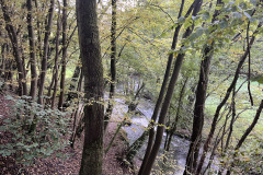 Früheres Wehr im Kerkerbach vor der alten Mühlen