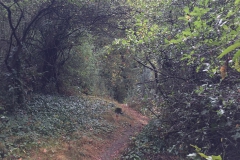Steeden; Paulchenallee
