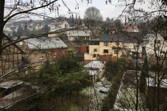 Blick auf den Löwen