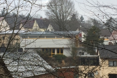 Blick auf den Löwen