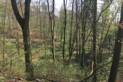 Wege im Heumst